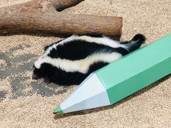 -海合安武汉极地海洋公园