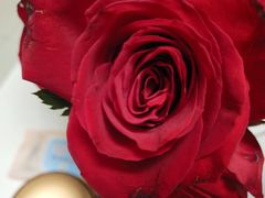 水煮豆腐牛肉-湘君府(新华路店)