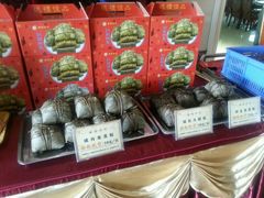 android_upload_pic-国家五钻酒家·西樵旺阁渔村(西樵店)