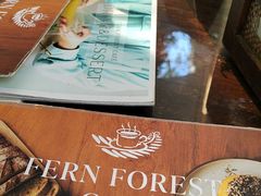 -Fern Forest Cafe