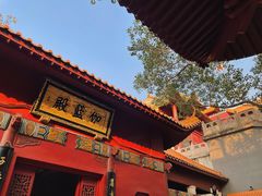 -深圳仙湖植物园