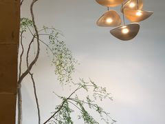 -自由生长植物工作室(深港花卉中心店)