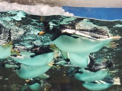 -成都浩海立方海洋公园