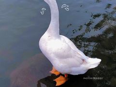 -杭州师范大学(下沙校区)