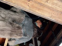 -秦园惠山豆腐花(惠山古镇店)