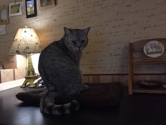 -隅cafe(傅厚岗店)