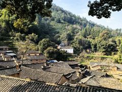 -杨家堂村