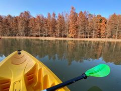 -上海海湾国家森林公园