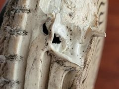 -象王洗衣(青蓝国际店)