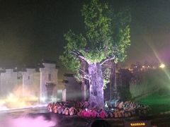 -婺源梦里老家大型山水实景演出