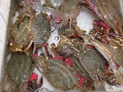 -青石桥市场北1-27号