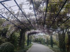 -渤公岛生态公园