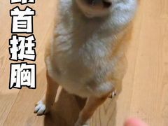 -萌兽医馆·犬猫专科·眼科中心·宠物医院(朝阳门分院)