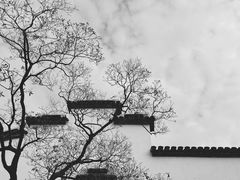 -广富林郊野公园