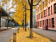 -四川大学(江安校区)