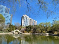 -团结湖公园