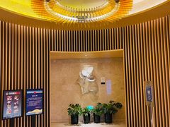 -苏州金鸡湖文博诺富特酒店