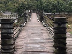 -铁山坪森林公园