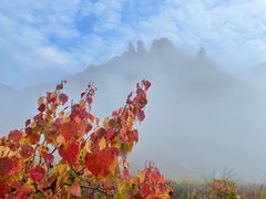 -克什克腾世界地质公园青山景区