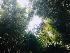 -韶关经律论国际酒店温泉