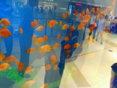 -合生汇·停车场