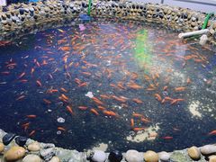 -华谊兄弟（长沙）电影小镇