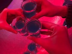 -Darling Queen·Mini·Live·House