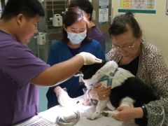 -萌兽医馆·犬猫专科·眼科中心·宠物医院(朝阳门分院)