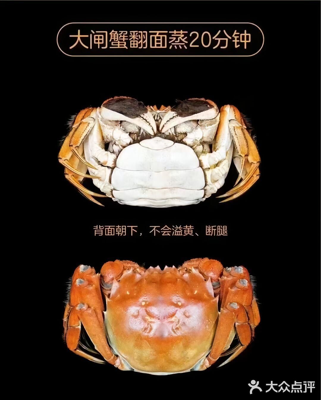 🐚🥢螃蟹大揭秘：手把手教你轻松拆螃蟹