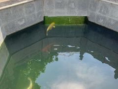 -西安市广仁寺