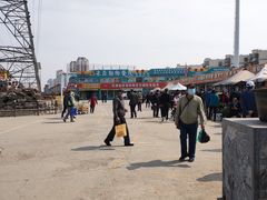 -中环花鸟鱼虫市场