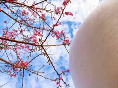 -太姥山风景名胜区