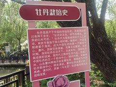 -太阳宫公园