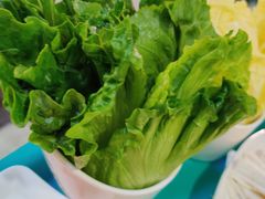 生菜-拾下卜卜贝•海鲜火锅