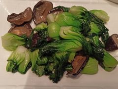 香菇菜心-东方明珠老上海8号餐厅(东方明珠广播电视塔店)