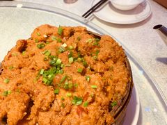 -新概念来凤鱼(璧山店)