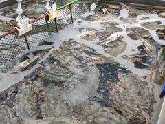 -七鲜超市(万向城店)