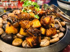 -文杏酒楼(一品天下店)