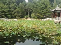 -晋祠公园