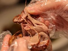 -燕郊烧鸽子(酷车小镇店)