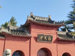 -洛阳白马寺