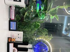 -纳吉亚猫专科动物医院·北北分院