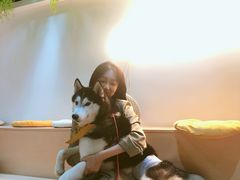 -Husky Go! 哈士奇体验馆·宠物咖啡厅狗咖