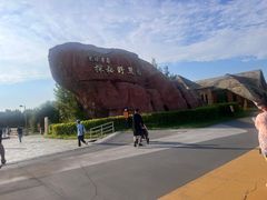 -黑瞎子岛探秘野熊园