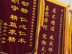 -中农国际动物医院24小时·猫科·骨科·急重症中心