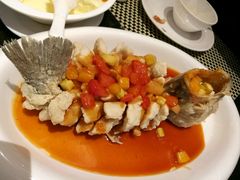-新兴·金羊座·粤菜点心(乐峰店)