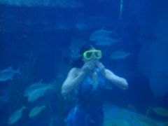 -水上乐园·欢乐世界