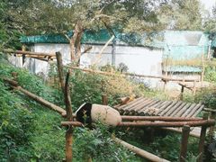 -红山森林动物园