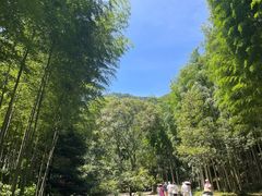 -黄公望隐居地