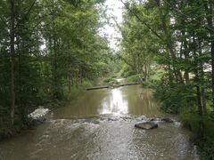 -桤木河湿地公园